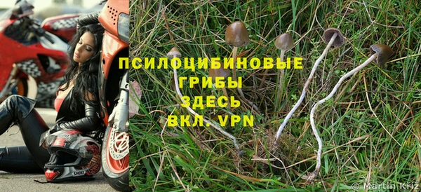 MDMA Premium VHQ Приозерск