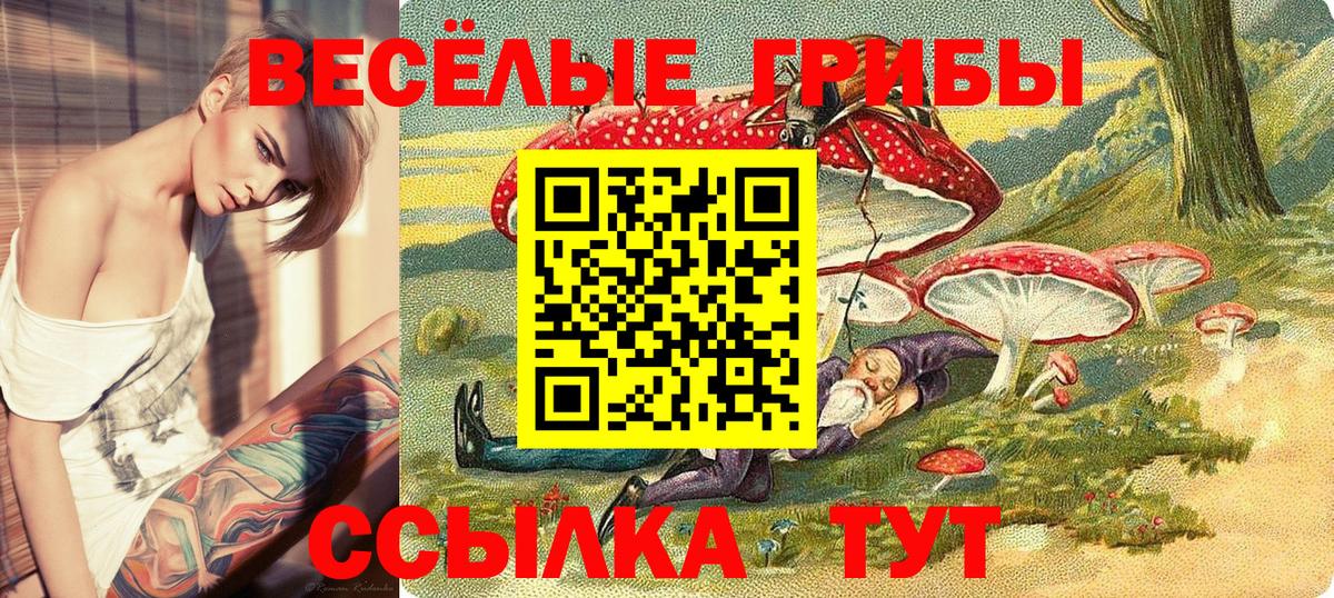 Фурманов  Галлюциногенные грибы прущие грибы  Вход с VPN 