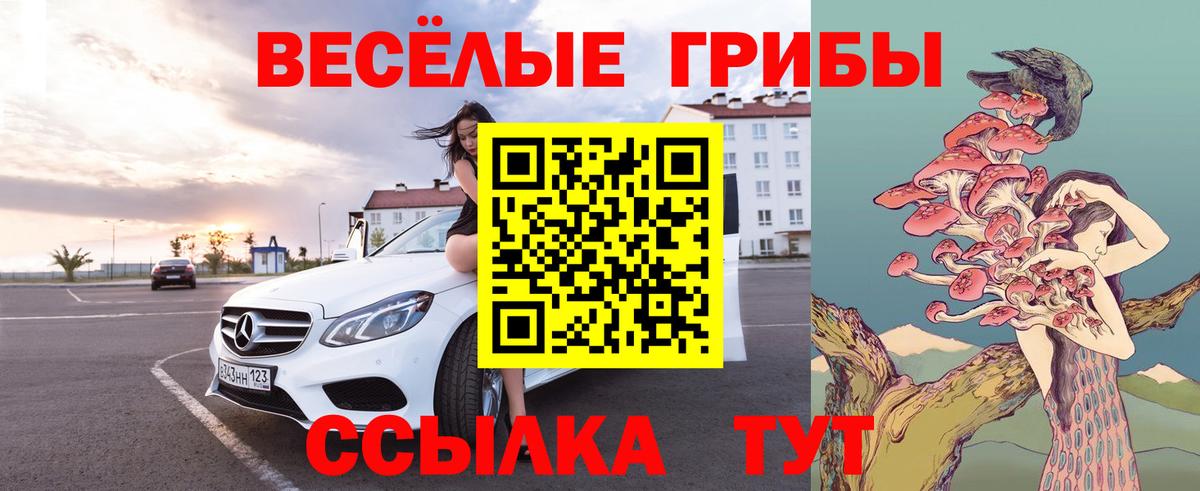 Псилоцибиновые грибы Magic Shrooms Фурманов